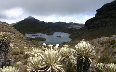 El Senado le pide a Duque prohibir la minería cerca a los páramos