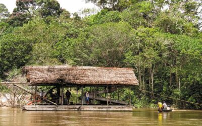 La tutela contra la minería ilegal en la Amazonía que espera la atención de la justicia